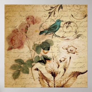Poster oiseau victorien Paris Rose botanique français