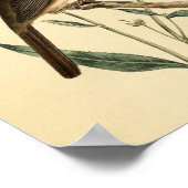 Poster Oiseau vintage (Coin)