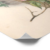 Poster Oiseau vintage de Bruant (Coin)