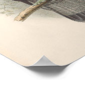 Poster Oiseau vintage de buzzard de miel (Coin)