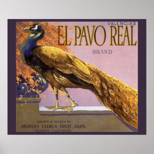 Poster Oiseau vintage de paon de Pavo d'EL d'art