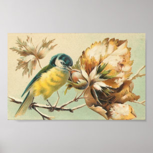 Poster Oiseau vintage et branches