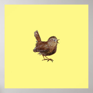 Poster Oiseau Wren (Troglodytes Troglodytes)