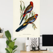 Poster Oiseaux (Bureau à domicile)