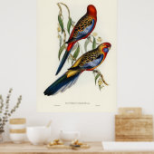 Poster Oiseaux (Cuisine)