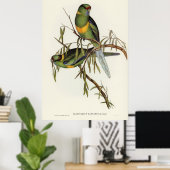 Poster Oiseaux 2 (Bureau à domicile)