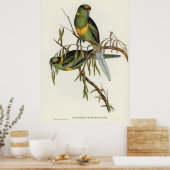 Poster Oiseaux 2 (Cuisine)