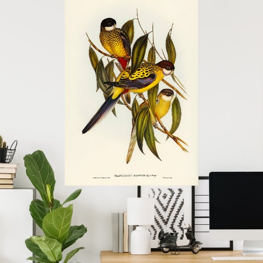 Poster Oiseaux 3 (Bureau à domicile)