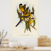 Poster Oiseaux 3 (Cuisine)