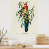 Poster Oiseaux 4 (Cuisine)