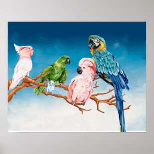 Poster Oiseaux Aquarelle Parrot Macaw Cockatoo Parakeet