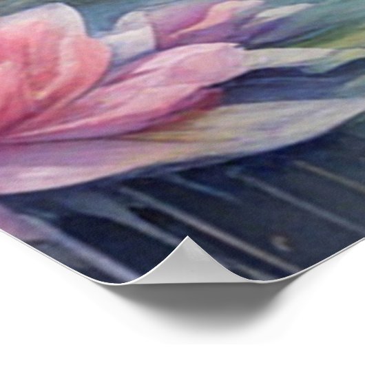 Poster Oiseaux arc-en-ciel Swan 1 (Coin)