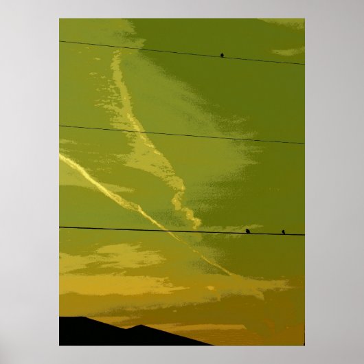 Poster Oiseaux Au Coucher Du Soleil (Devant)