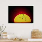 Poster Oiseaux au coucher du soleil (Cuisine)