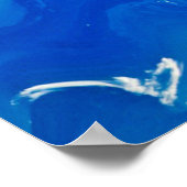 Poster Oiseaux au-dessus des vagues de la mer (Coin)