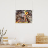Poster oiseaux bébé - Les Petits Miracles de Dieu (Cuisine)