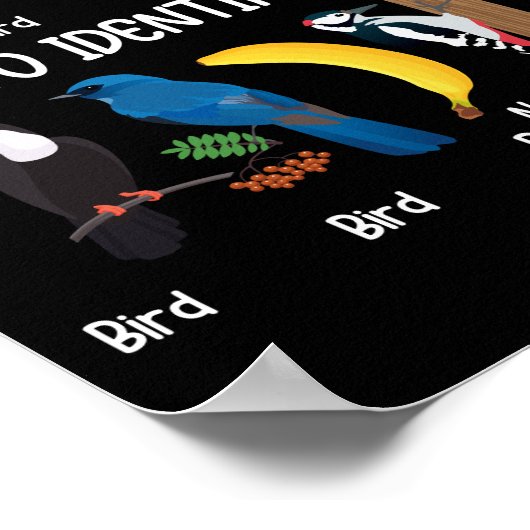 Poster Oiseaux Comment identifier un Oiseau unique (Coin)
