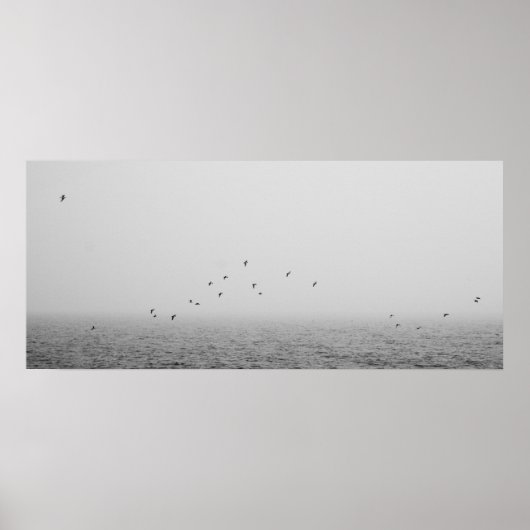 Poster Oiseaux dans le brouillard (Devant)