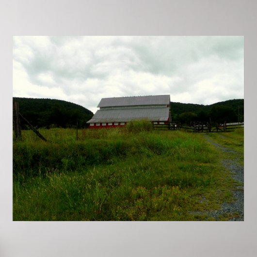 Poster Oiseaux dans une grange rouge (Devant)