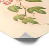 Poster Oiseaux d'art vintages Fleurs d'impression (Coin)
