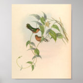 Poster Oiseaux d'art vintages Fleurs d'impression (Devant)