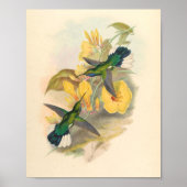 Poster Oiseaux d'art vintages Fleurs d'impression (Devant)