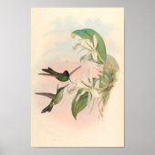 Poster Oiseaux d'art vintages Fleurs d'impression (Devant)