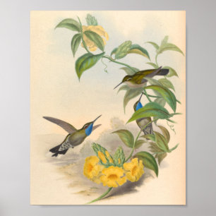 Poster Oiseaux d'art vintages Fleurs d'impression