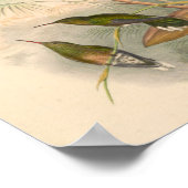 Poster Oiseaux d'art vintages Fleurs d'impression (Coin)