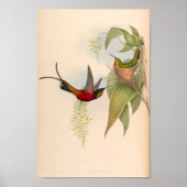 Poster Oiseaux d'art vintages Fleurs d'impression (Devant)
