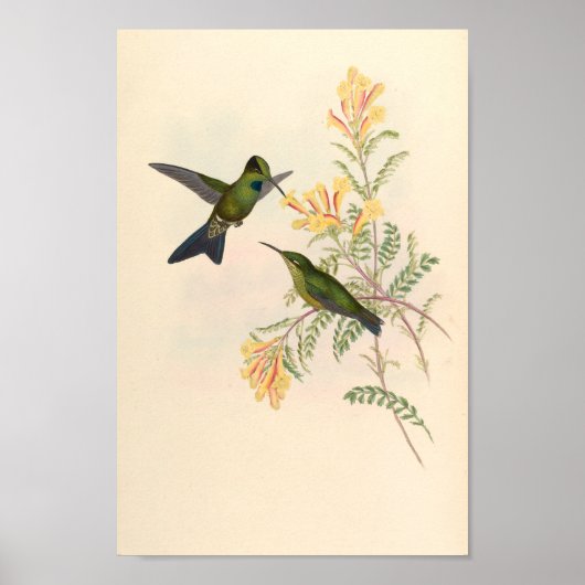 Poster Oiseaux d'art vintages Fleurs d'impression (Devant)