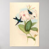 Poster Oiseaux d'art vintages Fleurs d'impression (Devant)