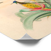 Poster Oiseaux d'art vintages Fleurs d'impression (Coin)