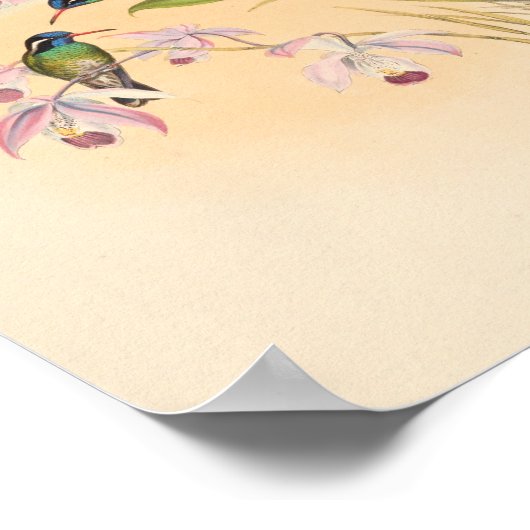 Poster Oiseaux d'art vintages Fleurs d'impression (Coin)