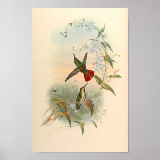Poster Oiseaux d'art vintages Fleurs d'impression (Devant)