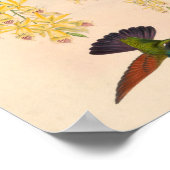 Poster Oiseaux d'art vintages Fleurs d'impression (Coin)
