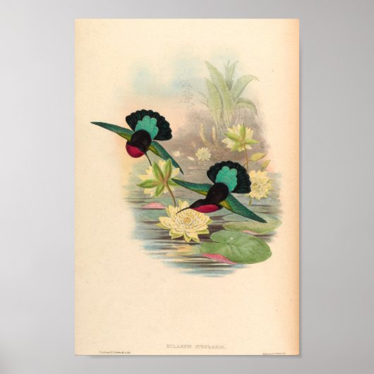 Poster Oiseaux d'art vintages Fleurs d'impression (Devant)
