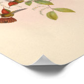Poster Oiseaux d'art vintages Fleurs d'impression (Coin)
