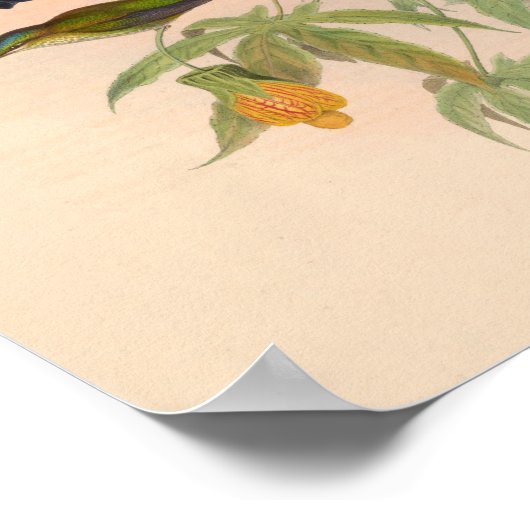 Poster Oiseaux d'art vintages Fleurs d'impression (Coin)