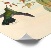 Poster Oiseaux d'art vintages Fleurs d'impression (Coin)