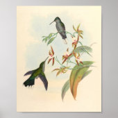 Poster Oiseaux d'art vintages Fleurs d'impression (Devant)
