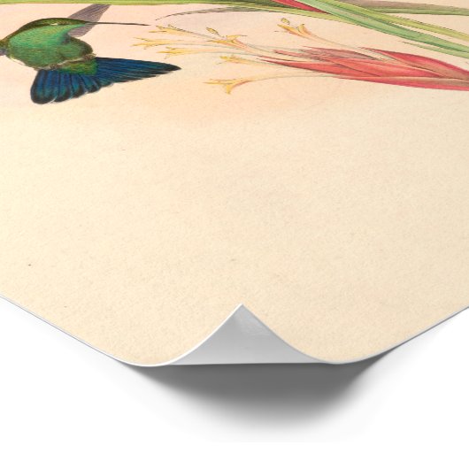 Poster Oiseaux d'art vintages Fleurs d'impression (Coin)