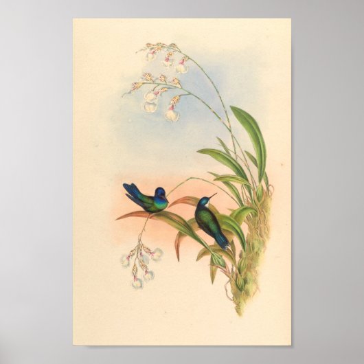 Poster Oiseaux d'art vintages Fleurs d'impression (Devant)