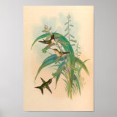 Poster Oiseaux d'art vintages Fleurs d'impression (Devant)