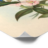 Poster Oiseaux d'art vintages Fleurs d'impression (Coin)