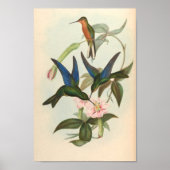 Poster Oiseaux d'art vintages Fleurs d'impression (Devant)