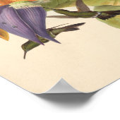 Poster Oiseaux d'art vintages Fleurs d'impression (Coin)