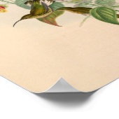 Poster Oiseaux d'art vintages Fleurs d'impression (Coin)