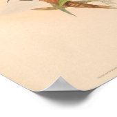 Poster Oiseaux d'art vintages Fleurs d'impression (Coin)
