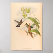 Poster Oiseaux d'art vintages Fleurs d'impression (Devant)